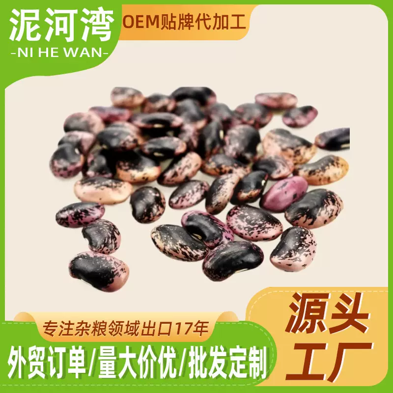 跨境泥河湾大黑花芸豆外贸供应可定制包装出口清关单据齐可批发