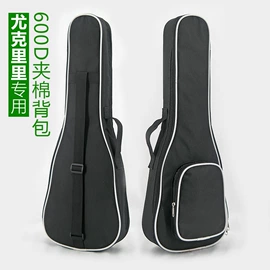 弹拨类乐器;乐器配件;吹奏类乐器