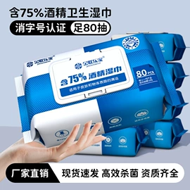 湿巾纸;婴儿湿巾;衣物清洁护理