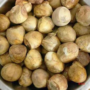 ���� 16��17���u�뵰 �u�ߵ� ë�� ϲ�����u�� �������P�˵����]