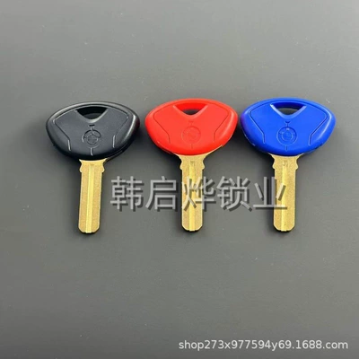 Suitable for Bmw K1200K1300S1000Rrrhp4 Motorcycle Key Replacement with Chip Installation Possible