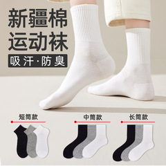 靴下の女性春秋の純綿の中筒の白い骨のない秋冬のストッキングのスポーツの靴下の女性の綿の靴下の中の靴下
