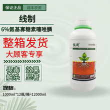 线制6%氨基寡糖素噻唑膦黄瓜根结线虫触杀内吸专杀线虫农药杀线剂