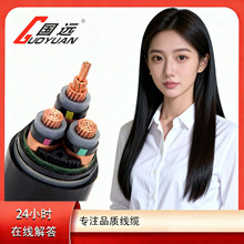 YJV/YJV22 0.6/1KV~о|1 2 3 4 5о10300ƽ|