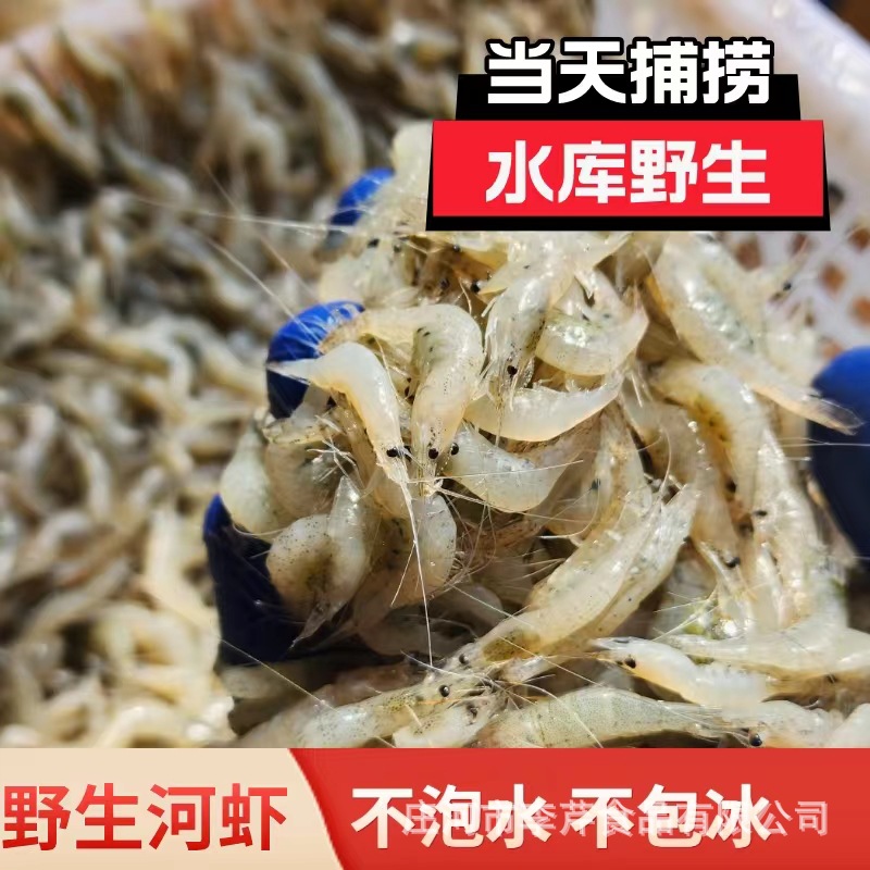 李芹活鱼 新鲜淡水小河虾 东北河虾鲜活速冻新鲜到家湖虾补钙佳品