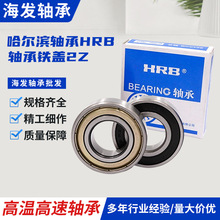 ���������HRB ������� 6900-2Z ϵ��