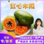 广西代发奶香新鲜水果