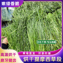 2024烘干头茬提摩西草段兔兔干草荷兰猪龙猫兔子饲料岷县北提