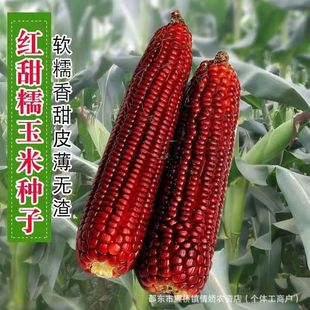 �tŴ���׷N�Ӽt���׷N��ܛŴ����t������Ŵˮ�����׷N�Ӵ�ȫ