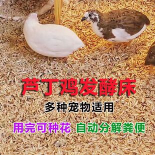 �J���u�l�ʹ������ֽ�|�Ϻ����N�o��|���Bֳ�u���Z�}�����