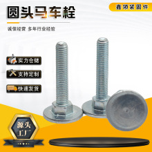 �A�^�R܇˨ ����܇�����ͼ��ǘˮ�����˨  4.8������^�����ݽz