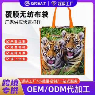 Laminated Non-Woven Bag Printed Logo Blank Bag Supermarket Gift Environmentally Friendly Shopping Bag Export Clothing Bag Handbag
