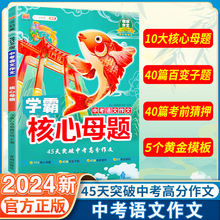 24版中考核心母题七八九年级语数英物化总复习知识点同步训练试卷