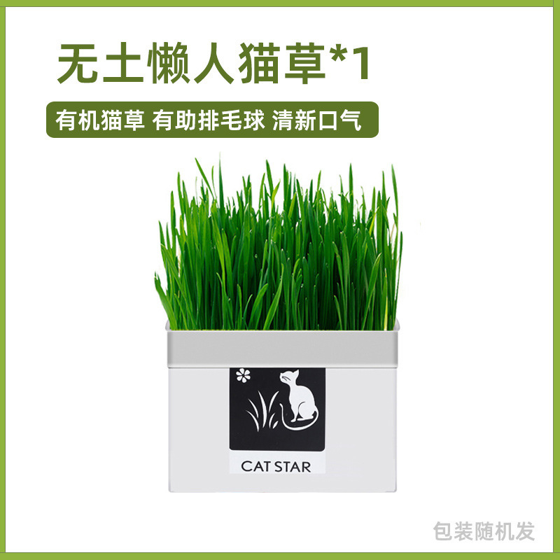 Caja de cartón CAT Grass