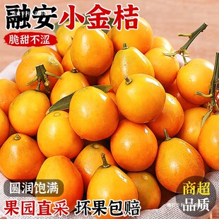 �V����Ƥ������rˮ�����Ӯ����Fժ����С��̽۽����ڰ��خa����