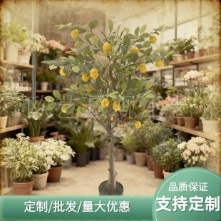 Gֲbʘ҃ȿ͏dbֲ辰٘߷