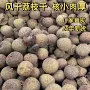 桂林特级500g荔枝干
