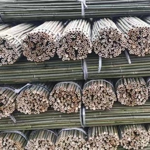 Bamboo Poles for Vegetable Racks, Agricultural Climbing Trellis, Thin Bamboo Poles for Vegetable Gardens, Bean Pole Trellis, Fence for Eco-Friendly Planting