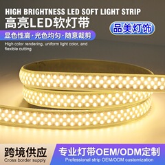 高压220V户外防水led灯带大功率348珠超亮工程隧道桥梁照明软灯条