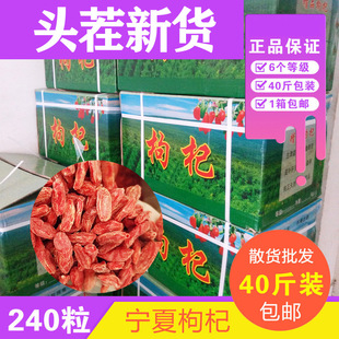 �����ُS��ֱ�N�t��� ÿ��40���b240�����ɢ�b���l��؛�������
