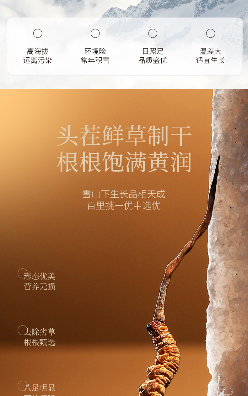 Premium Cordyceps Sinensis Gift Box 20g Wild-Harvested Qinghai Dong Chong Xia Cao quality and texture