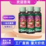 植物袋装发酵gaba特饮