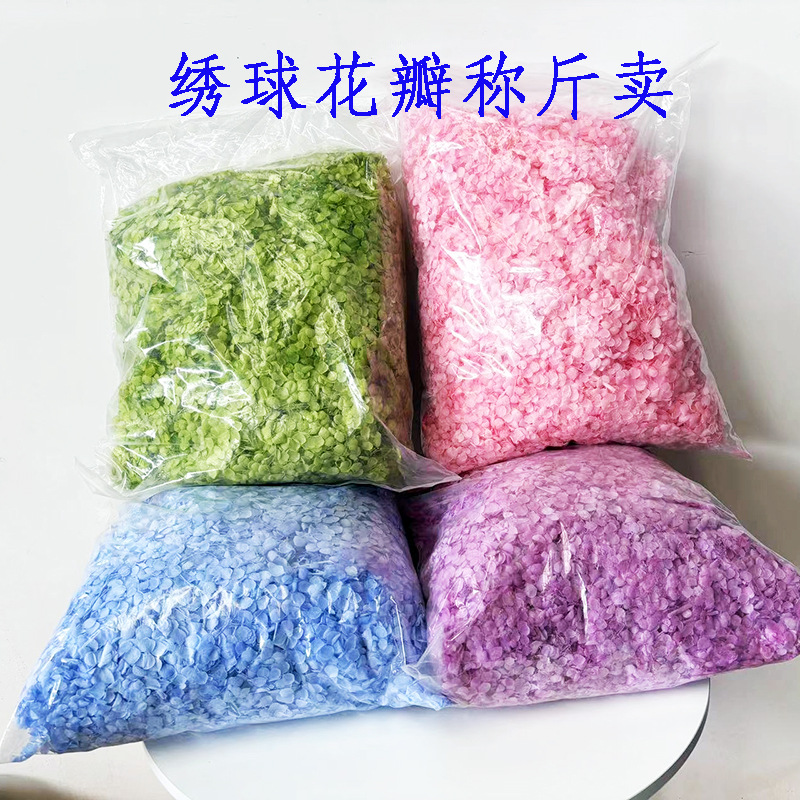 Eternal Life Flower Anna Hydrama Pet petals are called Jin 1kg