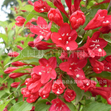 �\���t�����\�����������ͺ��͟�G����ľͥԺ���~ֲ���ͺ����䎧