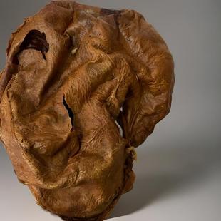 ����÷��¹¹̥�ۼ�����¹̥����¹̥�P���r¹̥ȫ¹�������ɴ��