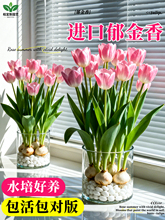 ������N��ˮ�໨��ֲ���҃Ȼ��ļ��_����������ˮ�B�û�