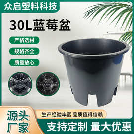 批发蓝莓盆大花盆加厚阳台家用垫高圆形控根盆大口径透气树脂花盆