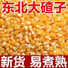 玉米渣10斤5斤2斤大碴子冻干玉米玉米碴子食用风干小颗粒清仓厂家