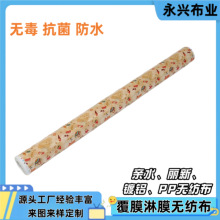 医疗卫生手提袋防水面料 厂家直销覆膜淋膜无纺布 PP无纺布淋膜