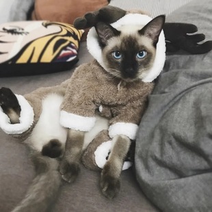 �W�t���_؈���·���؈�������ë���_���b����С��؈��ů���ﶬ��