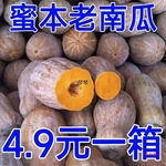 红土新鲜云南蜜本老南瓜农家自种宝宝辅食软糯面甜品种