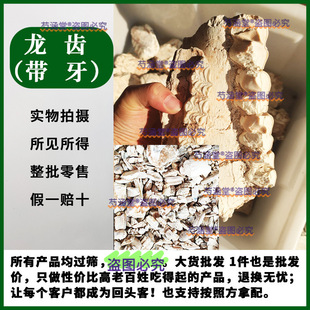 ���X �����X�����X���X�K�����X��ʯ�������X���X����������