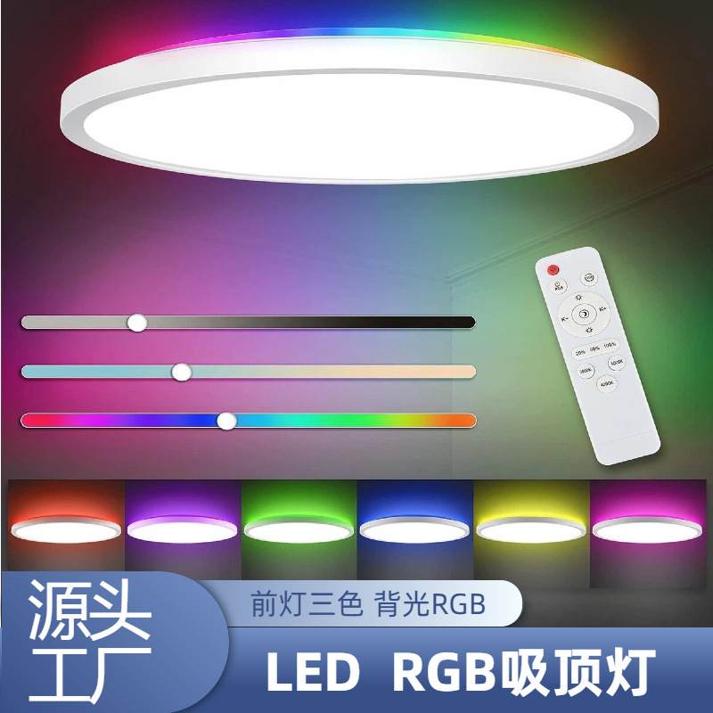 LED bedroom golden ceiling light living room ceiling light 24w embedded RGB backlit flat round light
