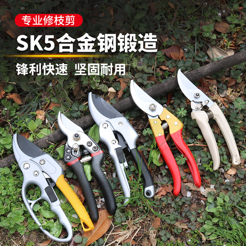 分段式省力护手果枝剪园林园艺剪合金钢镀钛果树剪修枝剪刀SK5剪
