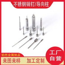 316F 304 201PNᔼ^ĄAݼyLӹS~λ