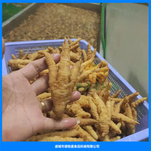 红烧猪蹄电加热油炸锅 炸虎皮凤爪油炸机 贵港鸡翅自动出料炸锅