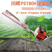 �ձ�����PST80H���˲ɲ�C���~�޼��C�@�־G����ľ�޼����;G�h�C