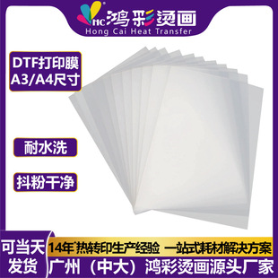 Hongcai White Ink Heat Transfer Printing Film Pet Film A3/A4 Second Tear Single and Double-Sided Heat Transfer Dtf Heat Transfer Film Sheet