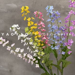 �����Ͳ˻� ���l�����@�L�̈�����bٻ��ҾӔ[�ŷ��滨