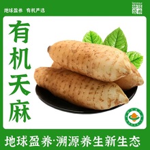 ЙCƬƬȻ orЙCJCԴ ҜˮaƷ