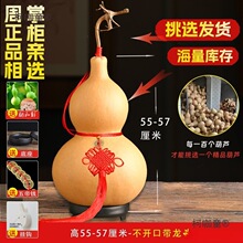 ��Ȼ���J�����С�����^�[���_��ľ���J�͏d�k��ؔ����Ѽ���̫��