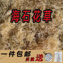干货草原料海石花批发南澳冻粉潮汕菜四果膏汤石海草石花浮水散装