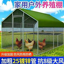 户外养鸡笼子家用家禽养殖棚搭建鸡舍孔雀笼大型养鸭鹅养鸽笼