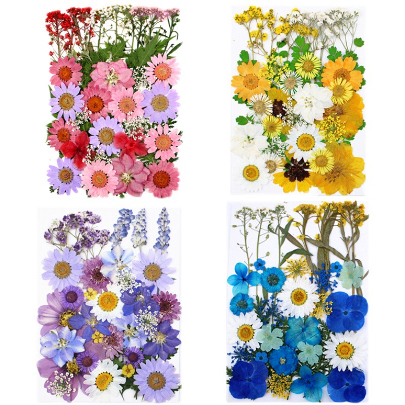 Paquete de material de estampado de flores secas Paquete de combinación de flores presionadas Flor real Hoja de espécimen pegatinas
