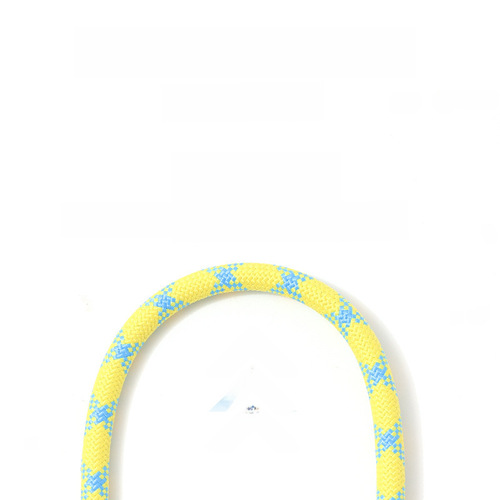 Pet Leash Explosion Proof P Chain Outdoor Dog Walking Rope Nylon Braided Dog Rope Leash Walking P Rope