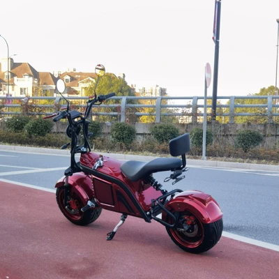 motorcycle citycoco, Elektrikli motosikletlər